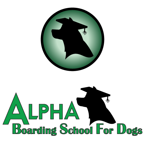 Alpha Boarding School for Dogs
