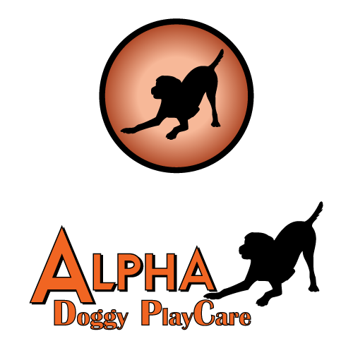 Alpha Doggy PlayCare
