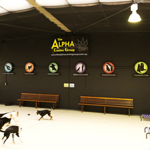 The Alpha Canine Group - inside signage