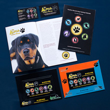 The Alpha Canine Group - promotional material